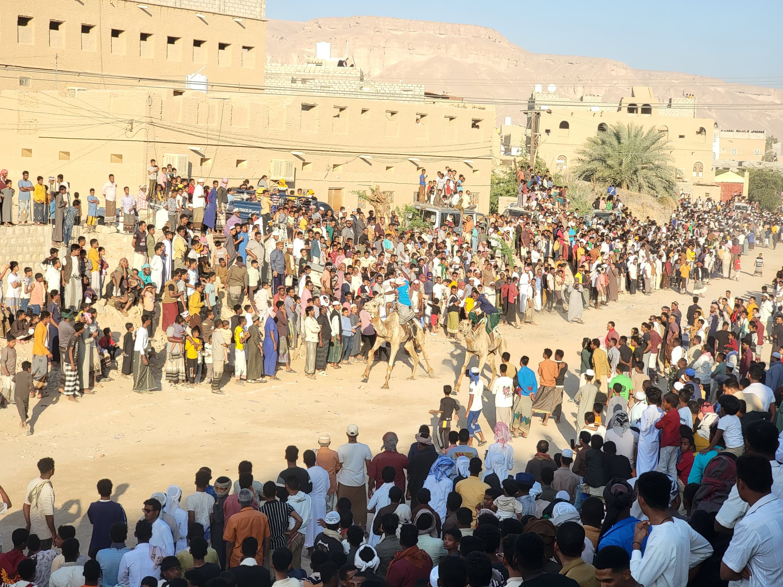 مدينة تريم تشهد سباق الهجن السنوي وسط حضور جماهيري كبير