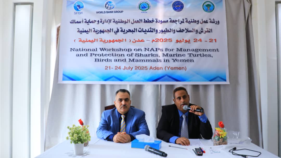 بدء ورشة عمل في عدن لمراجعة مسودة خطط حماية اسماك القرش والسلاحف والطيور والثدييات البحرية باليمن