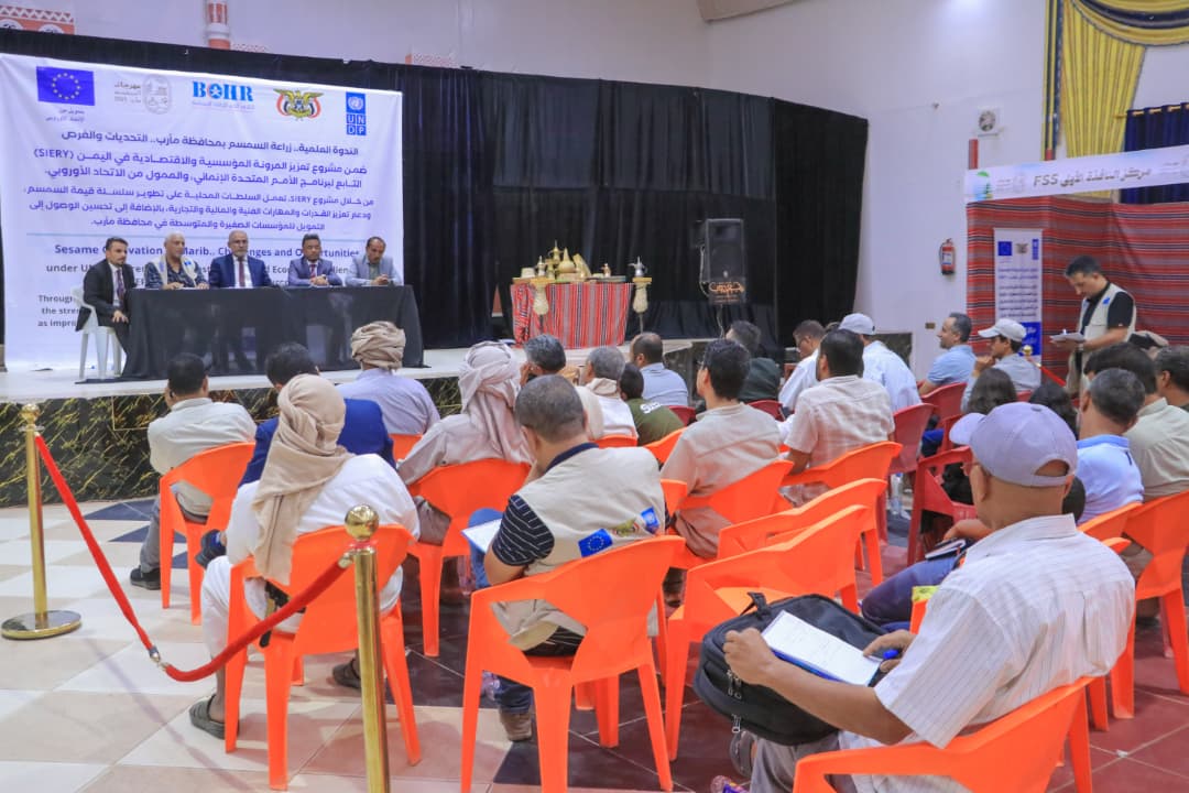 انعقاد ندوة علمية متخصصة بمأرب حول "زراعة السمسم.. التحديات والفرص"