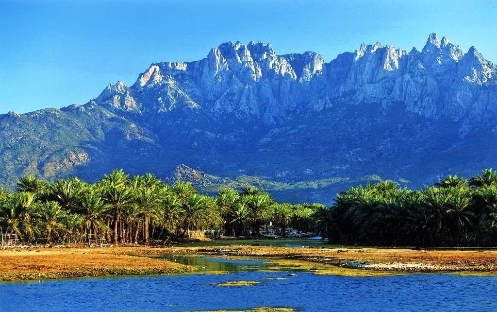 السفير جميح: ‏اليونسكو أرسلت بعثة رقابة إلى سقطرى بعد تقارير عن انتهاكات لمعاهدة حماية التراث العالمي