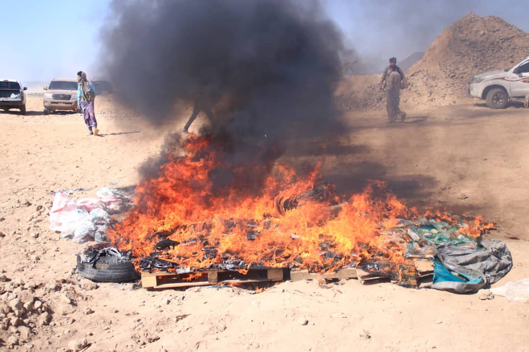 نيابة المنطقة العسكرية الثالثة تُتلف أكثر من 300 كجم من الحشيش