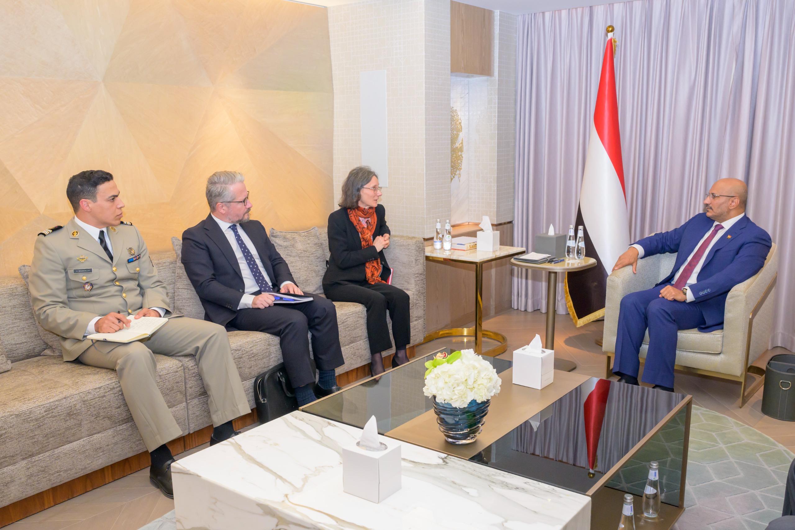 طارق صالح يبحث مع السفيرة الفرنسية جهود تثبيت الاستقرار وأمن الملاحة الدولية