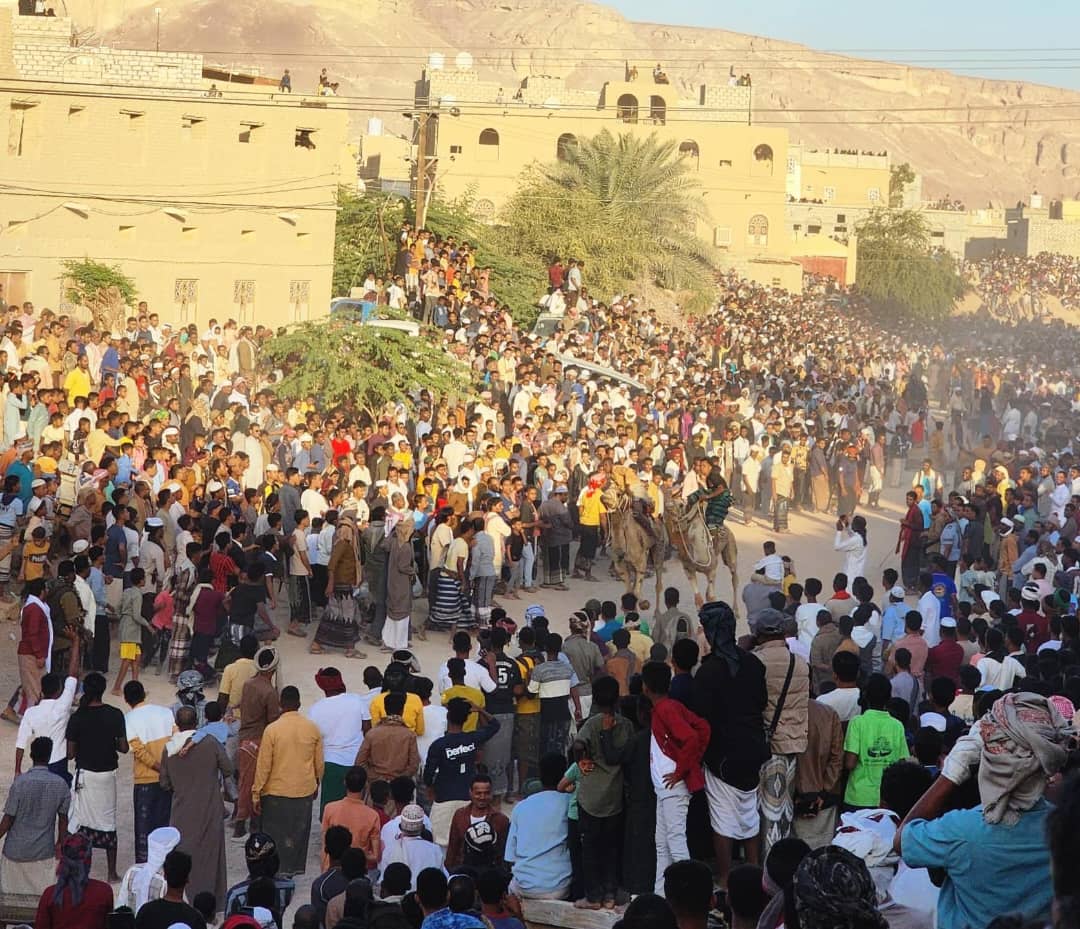 تريم تشهد سباق الهجن السنوي وسط حضور جماهيري واسع