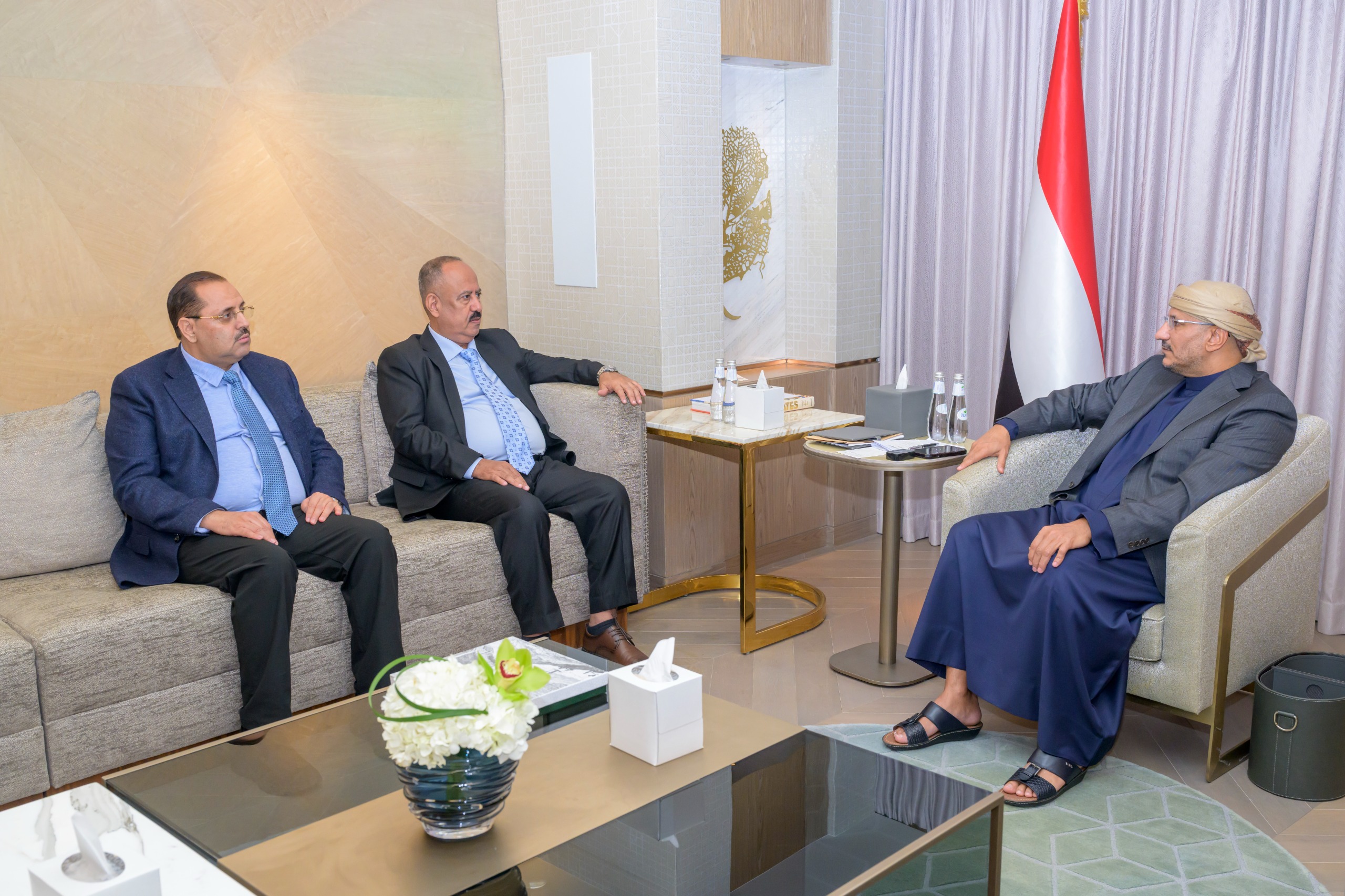 عضو مجلس القيادة طارق صالح يلتقي وزيري النقل وشؤون مجلسي النواب والشورى