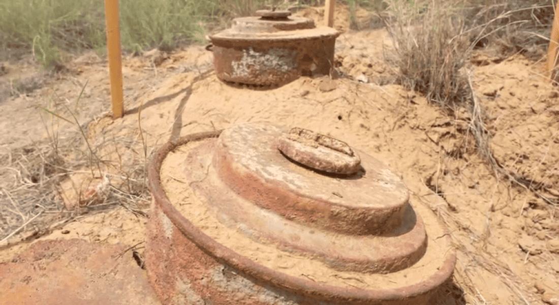 "مسام" ينزع 1263 لغماً وذخيرة خلال أسبوع