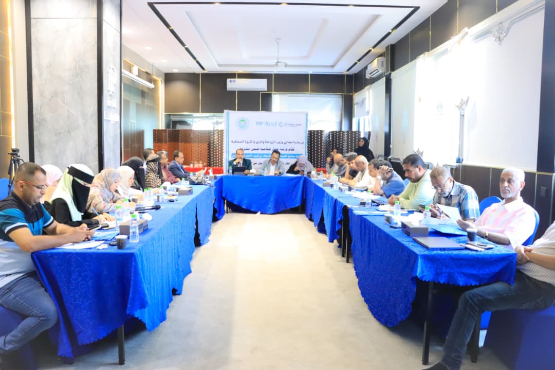 انعقاد ورشة ختامية لمشروع "SFish" تستعرض نتائج دراسة سلاسل القيمة لمصائد الأسماك في اليمن