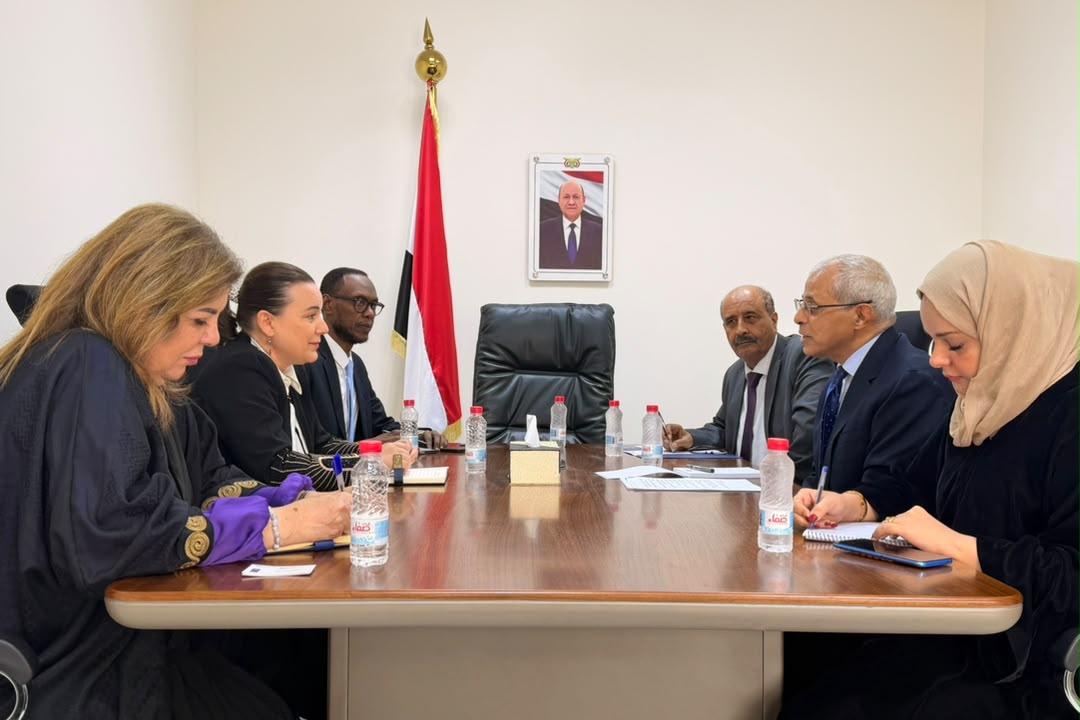 نائب وزير الخارجية يبحث مع الممثلة المقيمة للبرنامج الإنمائي تعزيز الشراكة ودعم التعافي والاستقرار