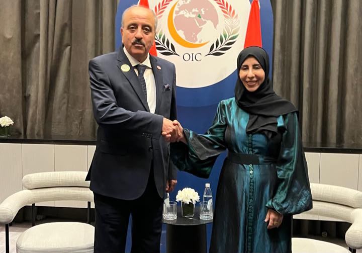 وزيرة الخارجية تؤكد على أهمية مضاعفة الجهود لمواجهة التهديدات التي تستهدف أمن الدول وسيادتها